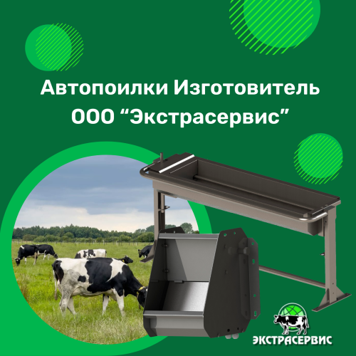 Здоровье животных начинается с воды: автопоилки для ферм и КРС