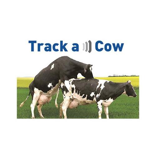 Track a))) Cow - уникальная технология обнаружения половой охоты
