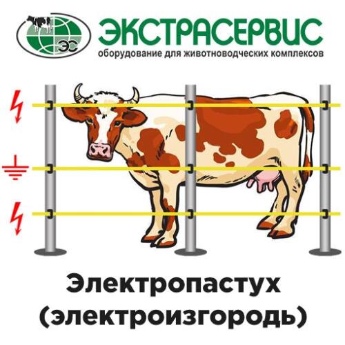 Что такое электроизгородь – как правильно выбрать и установить