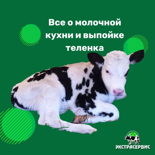 СТОП ПАДЕЖ: КОМПЛЕКСНОЕ РЕШЕНИЕ ДЛЯ ВЫРАЩИВАНИЯ ЗДОРОВОГО МОЛОДНЯКА ОТ «ЭКСТРАСЕРВИС»