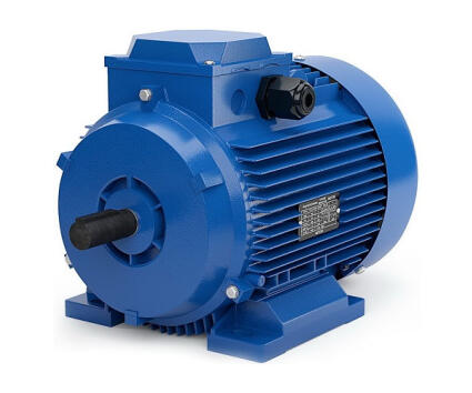 Электродвигатель АИР100L4 IM 1081 4/1500 