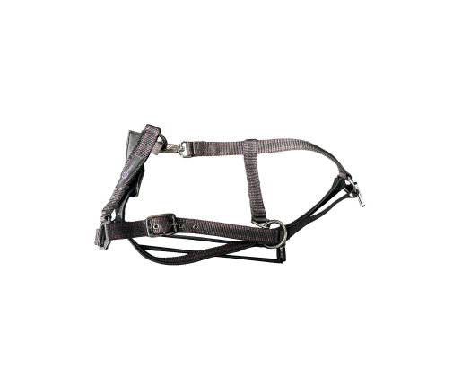 Недоуздок Royal черный/фуксия, Full