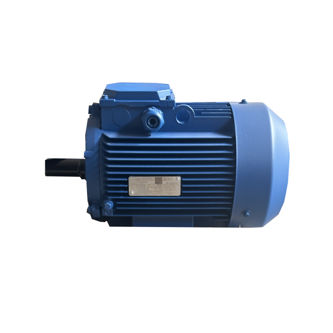 Электродвигатель АИР100L4 IM 1081 4/1500 