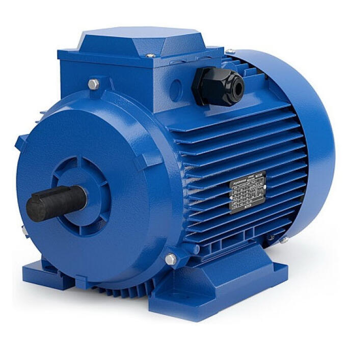 Электродвигатель АИР100L4 IM 1081 4/1500 