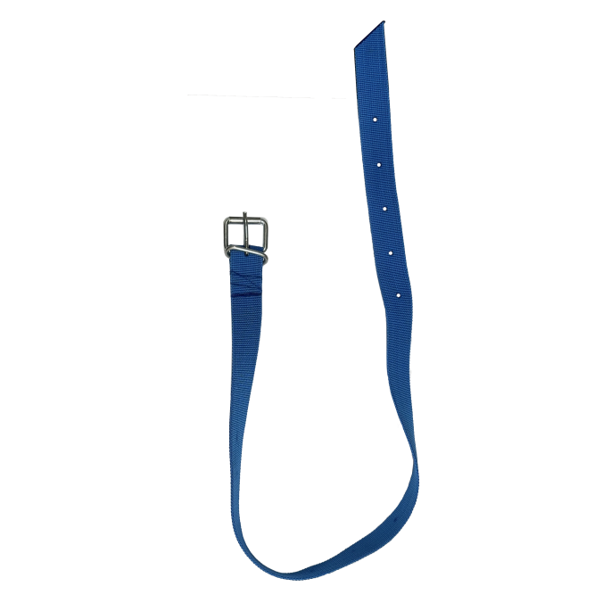 Ошейник для КРС синий на ременной пряжке